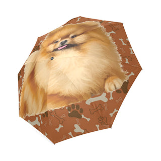 Pomeranian Dog Foldable Umbrella - TeeAmazing
