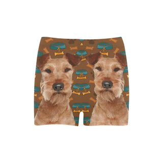 Irish Terrier Dog Briseis Skinny Shorts (Model L04) - TeeAmazing