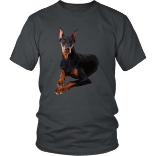 Doberman Pinscher Dog T Shirts, Tees & Hoodies - Doberman Pinscher Shirts - TeeAmazing