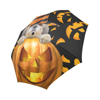 Shih Tzu Halloween Auto-Foldable Umbrella - TeeAmazing