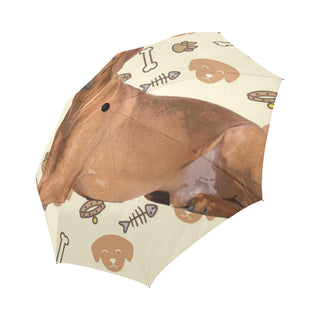 Rhodesian Ridgeback Dog Auto-Foldable Umbrella - TeeAmazing