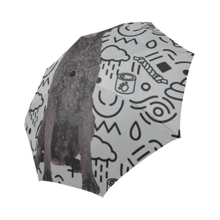 Curly Coated Retriever Auto-Foldable Umbrella - TeeAmazing