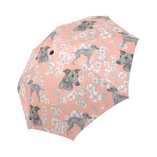 Italian Greyhound Flower Auto-Foldable Umbrella - TeeAmazing