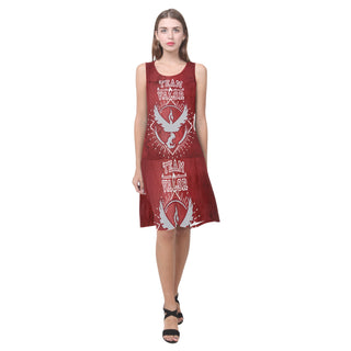 Team Valor Sleeveless Splicing Shift Dress - TeeAmazing