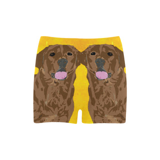 Chocolate Labrador Briseis Skinny Shorts (Model L04) - TeeAmazing