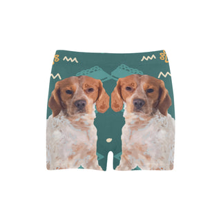 Brittany Spaniel Dog Briseis Skinny Shorts (Model L04) - TeeAmazing