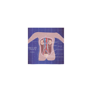 Anatomy Square Towel 13x13 - TeeAmazing