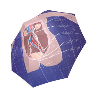 Anatomy Foldable Umbrella - TeeAmazing