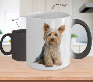 Yorkshire Terrier Color Changing Mugs & Coffee Cups - Yorkshire Terrier Coffee Mugs - TeeAmazing