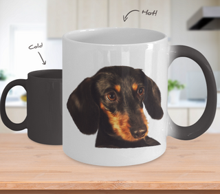 Dachshund Dog Color Changing Mugs & Coffee Cups - Dachshund Coffee Mugs - TeeAmazing