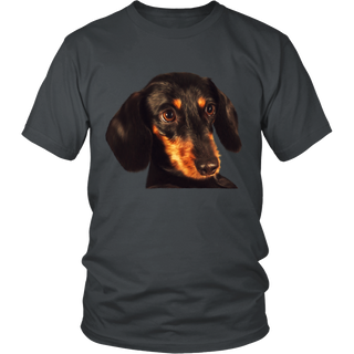 Dachshund Dog T Shirts, Tees & Hoodies - Dachshund Shirts - TeeAmazing